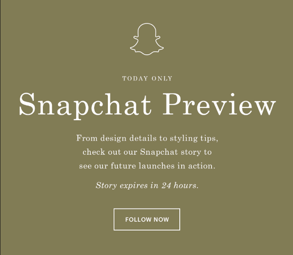 cg-everlane-email-about-snapchat-story